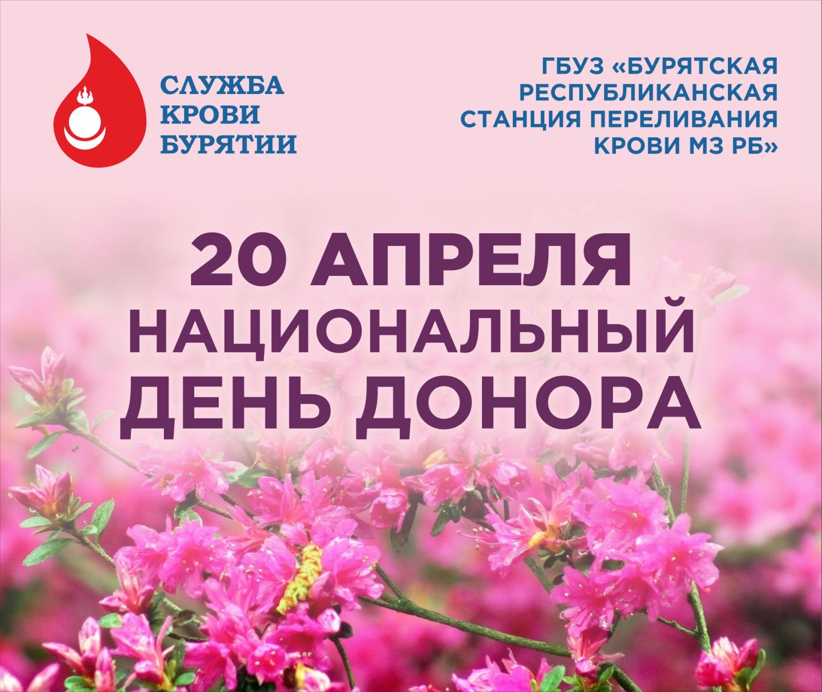 C 15 по 21 апреля 2024 г. проводится Неделя популяризации донорства крови (в честь Дня донора в России 20 апреля).